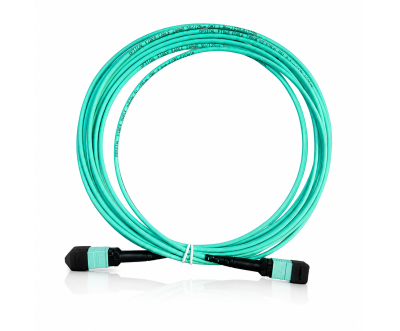 Cordon Fibre MPO OM4 24F Type B 5M MPO/UPC