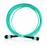 Cordon Fibre MPO OM4 24F Type B 5M MPO/UPC