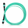 Cordon Fibre MPO OM4 24F Type B 5M MPO/UPC