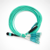 12F MPO(F) to LC/UPC OM4 Fiber Patch Cord 5M
