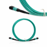 Cordon Fibre MPO(F) vers LC/UPC OM4 12F 5M