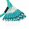 24F MPO(F) to LC/UPC OM4 Fiber Optic Patch Cord 5M