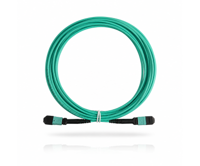 MPO-MPO OM4 24CORE 5M Fiber Patch Cord