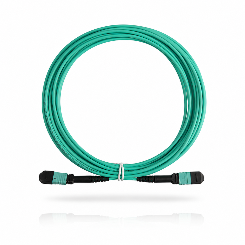 Cordon MPO-MPO OM4 24CORE 5M Type B