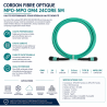 MPO-MPO OM4 24CORE 5M Fiber Patch Cord