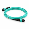 Cordon fibre optique MPO OM4 8F 5M Type B