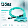 Cordon Fibre Optique 12F MPO(F)-LC/UPC OM4 5M