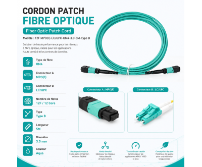 Cordon Fibre MPO(F) vers LC/UPC OM4 12F 5M