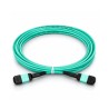 Cordon Fibre MPO OM4 24F Type B 5M MPO/UPC