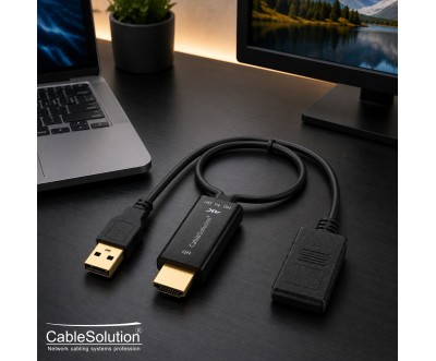 Adaptateur HDMI vers DisplayPort Full HD 1080p