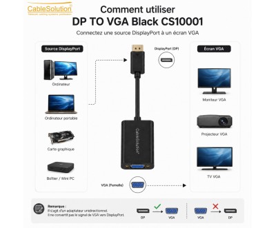 Adaptateur DisplayPort vers VGA CableSolution CS10001