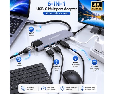 6-in-1 USB Type-C Hub HD USB Type-C LAN CS10019