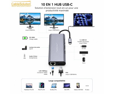 10-in-1 USB-C Hub HD VGA Gigabit LAN CS10022