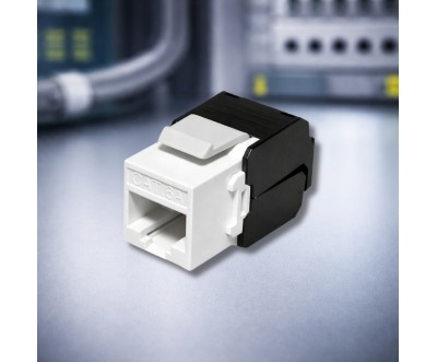 Keystone RJ45 Cat6A FTP محمية بدون أدوات